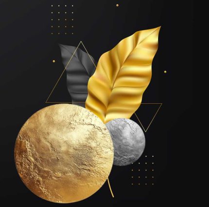 Golden Pack : پکیج طلایی - فول خدمات